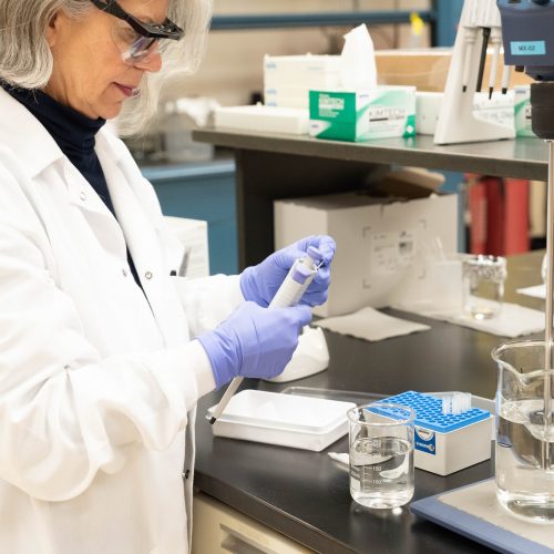 Scientist performing lab services